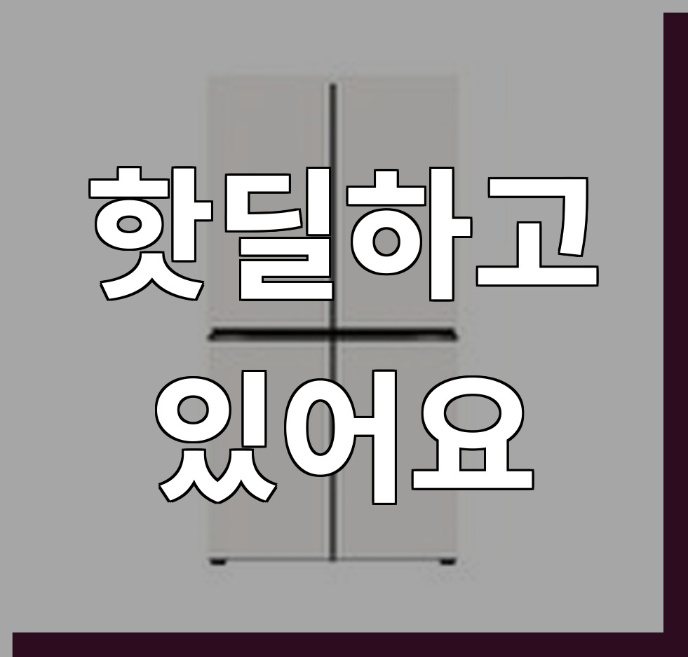 LG 냉장고 T876MEE141 (36개월) 상세 이미지 2