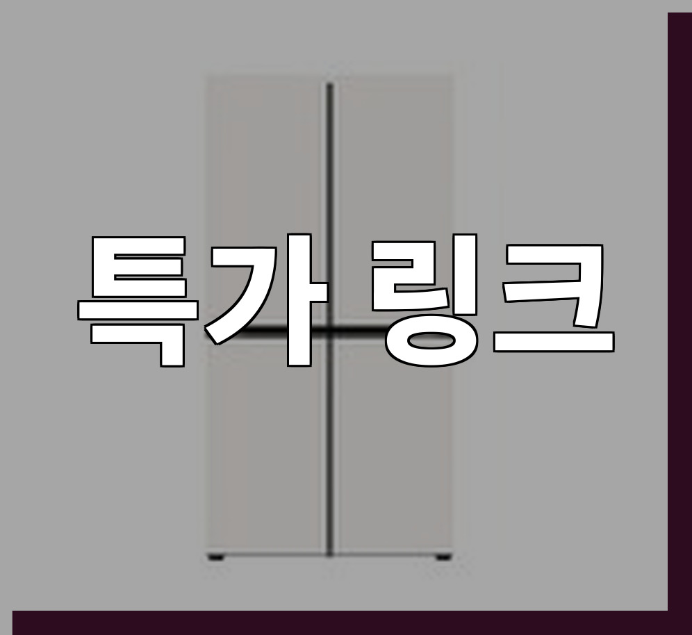 LG 냉장고 T876MEE041 (36개월) 상세 이미지 2