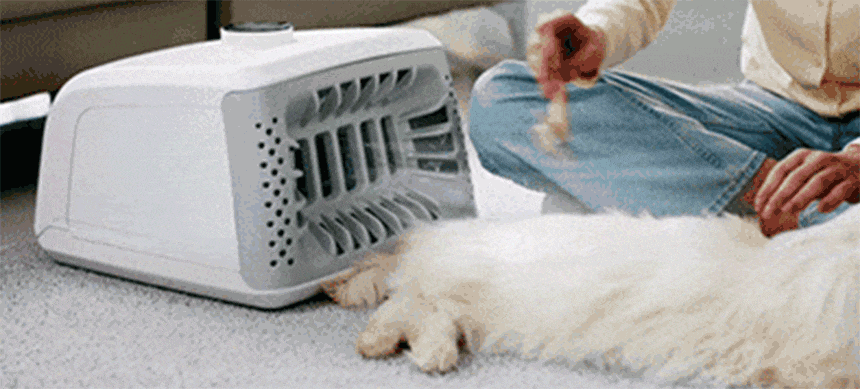 퍼캐처_BS (36개월) 상세 이미지 32