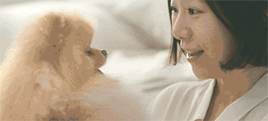 퍼캐처_BS (36개월) 상세 이미지 2