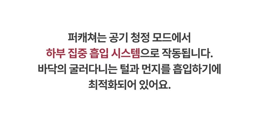퍼캐처_BS (36개월) 상세 이미지 22