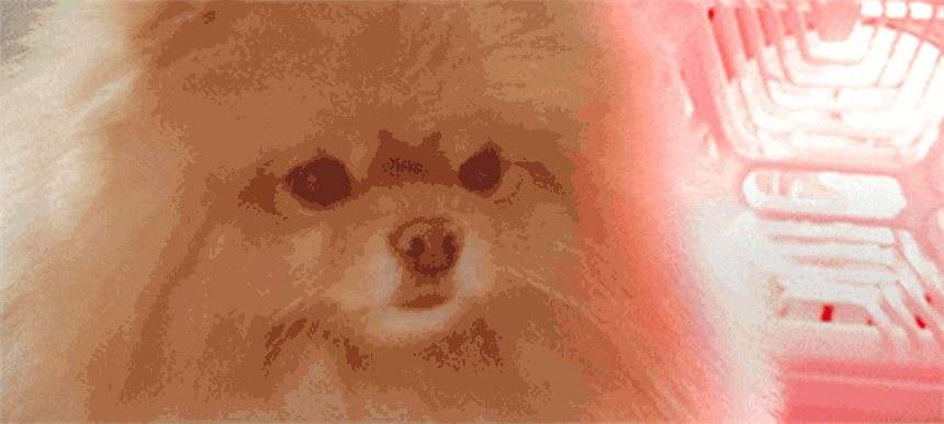 퍼캐처_BS (36개월) 상세 이미지 47