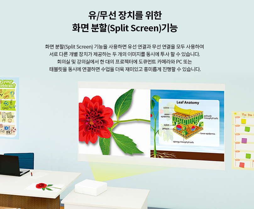 [엡손] 일반투사 빔프로젝터 (EB-994F) 썸네일 3