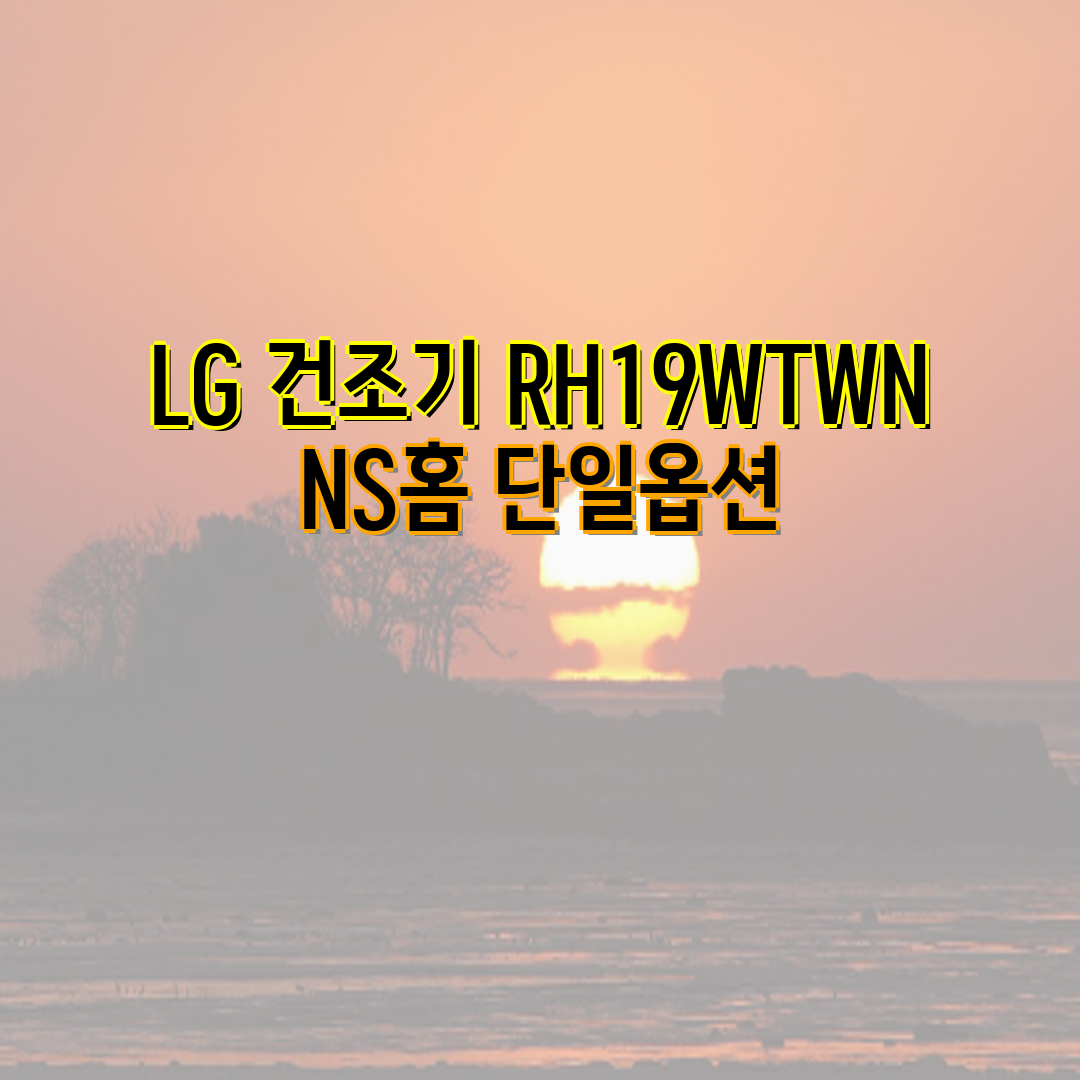 LG_세탁기_건조기_F21WDLPR+RH19WTWN 썸네일 2