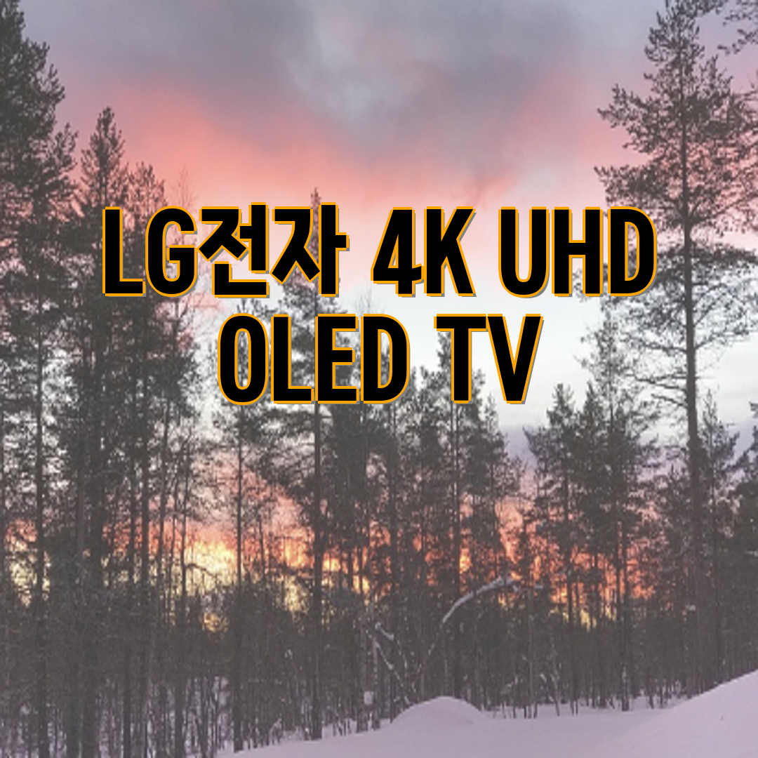 LG TV OLED65B6SS/W (36개월) 썸네일 3