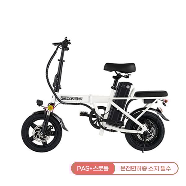 [레이윙] 디스커버리 F14E 전기자전거 10A (세이지그린)