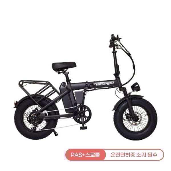 [레이윙] 디스커버리 MX 접이식 전동 팻바이크 48V A18