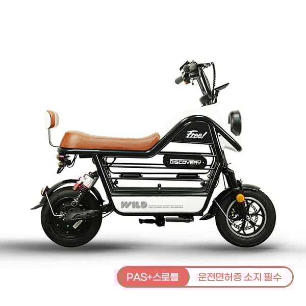 [레이윙] 디스커버리 와일드 S20 28A 전기 전동스쿠터 (S20_28A) (블랙) (48개월)