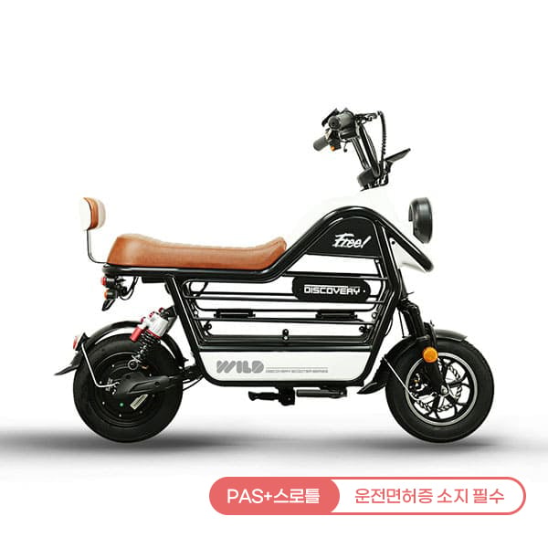 [레이윙] 디스커버리 와일드 S20 16A 전기 전동스쿠터 (S20_16A) (블랙) (48개월)