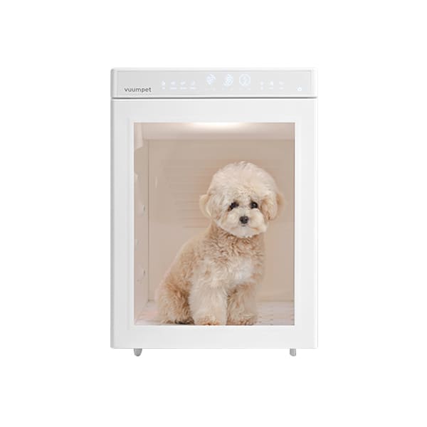 붐펫 펫드라이룸(단델리온 듀얼) (36개월) 썸네일 1