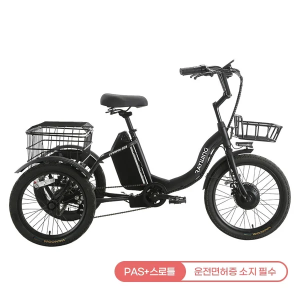 [레이윙] 캐리 이지 전기자전거 CARRYEZ_20A (블랙) (48개월)