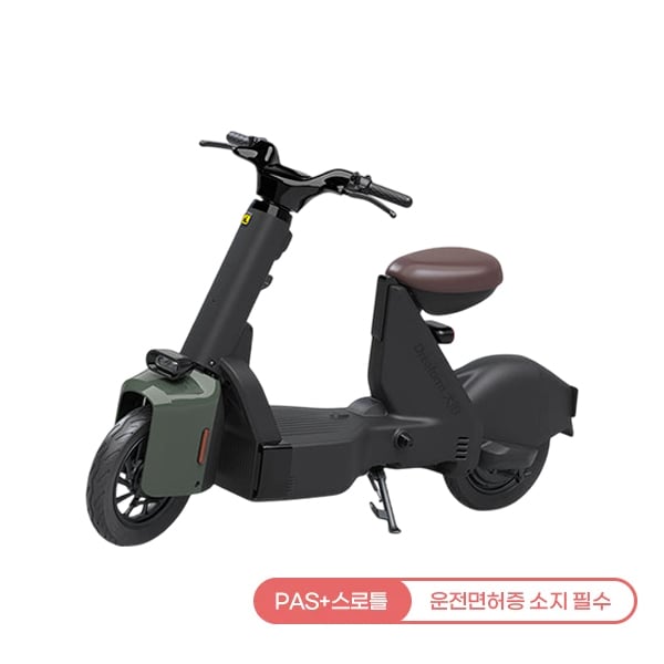 [레이윙] 타입1 전동스쿠터 TYPE 1_24A (그린) (48개월)