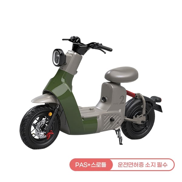 [레이윙] 타입2 전동스쿠터 TYPE 2_24A (그린) (48개월)