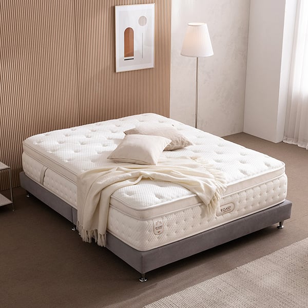 젠티스 헬렌 LK (36개월)