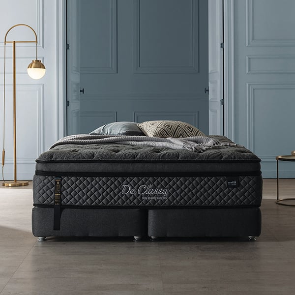 젠티스 마제스틱  K (36개월)