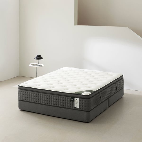 젠티스 오프모드 4 SS (36개월)