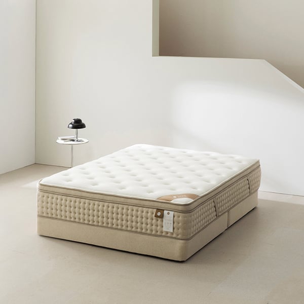 젠티스 오프모드 3 K (36개월)