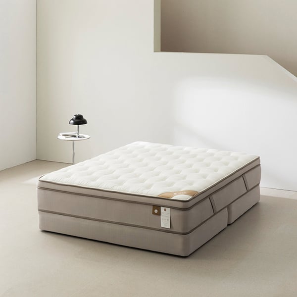 젠티스 오프모드 2 K (36개월)