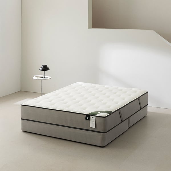 젠티스 오프모드 1 LK (36개월)