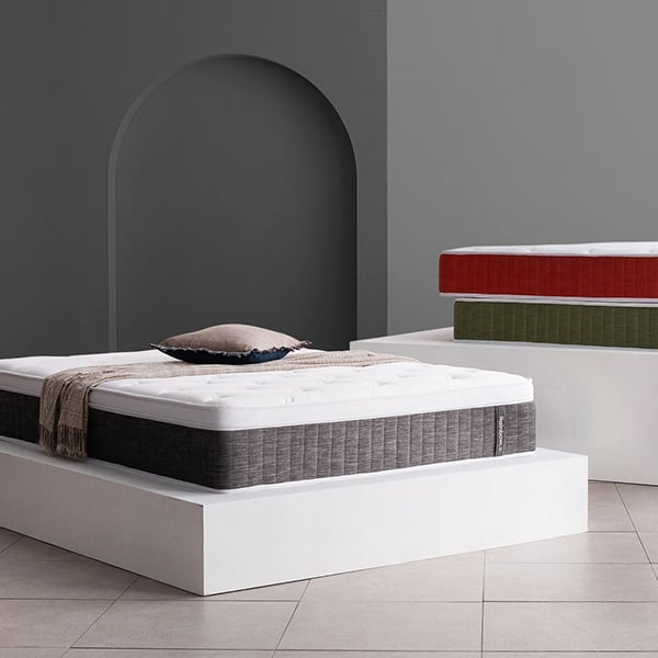 젠티스 레인보우 그레이 K (36개월)