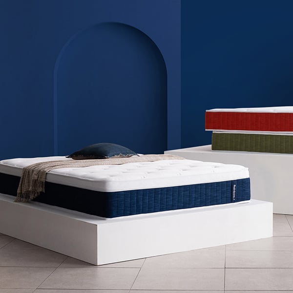 젠티스 레인보우 네이비 SS (36개월)