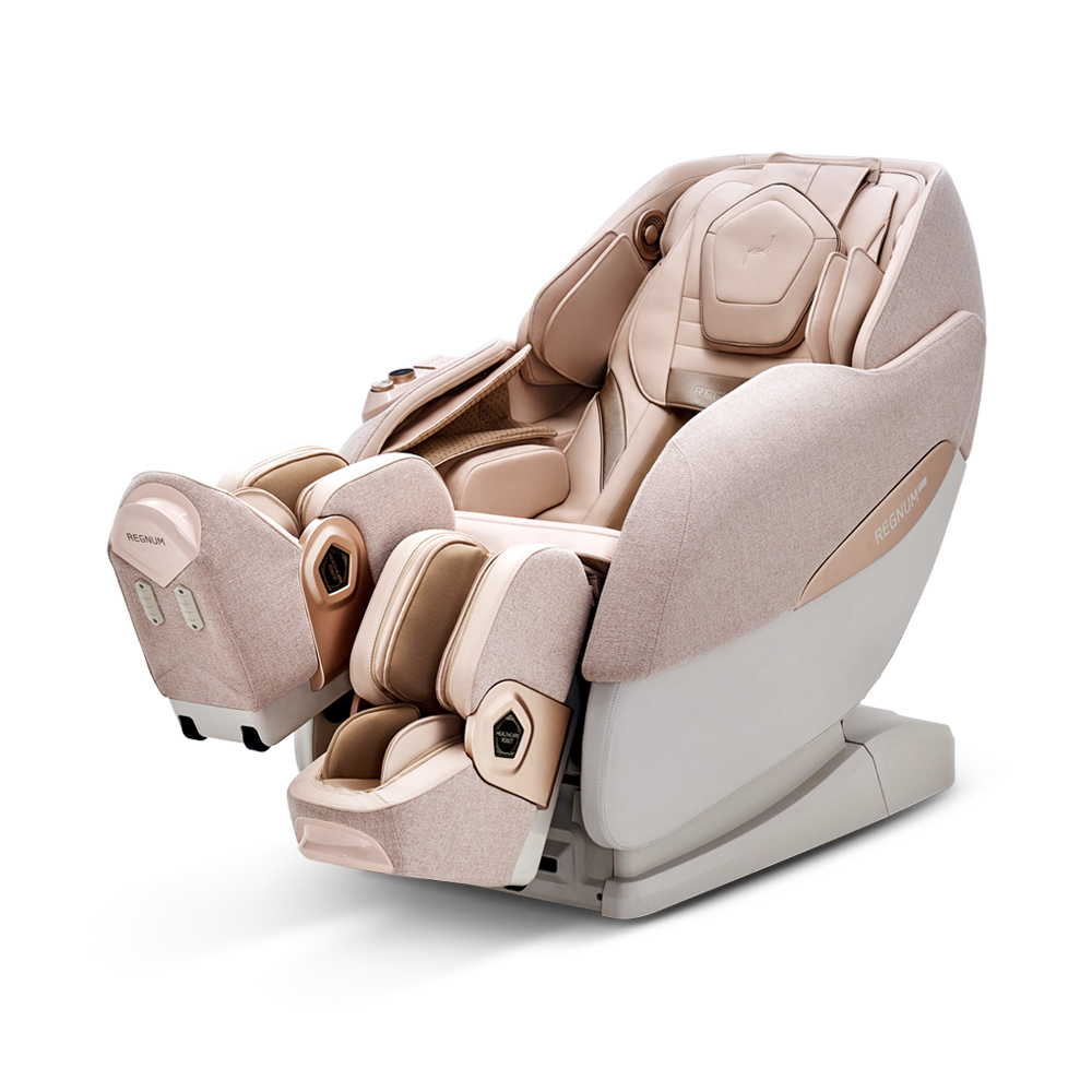 바디프랜드 레그넘로봇